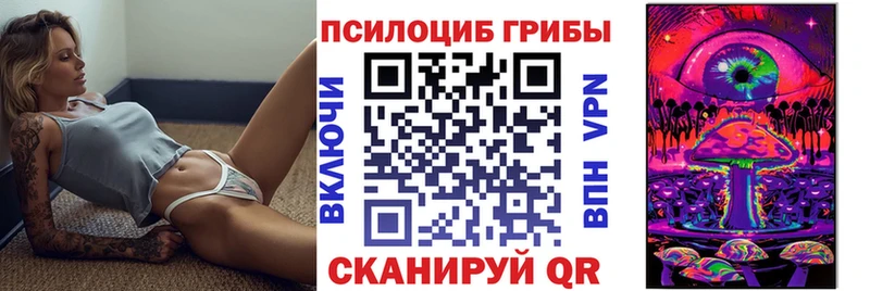 Псилоцибиновые грибы Cubensis  Купить где  Мещовск 